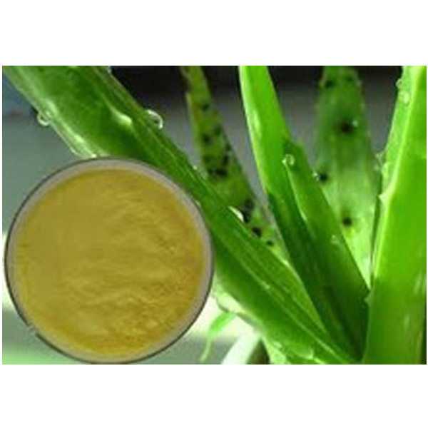 Aloe Vera Extract