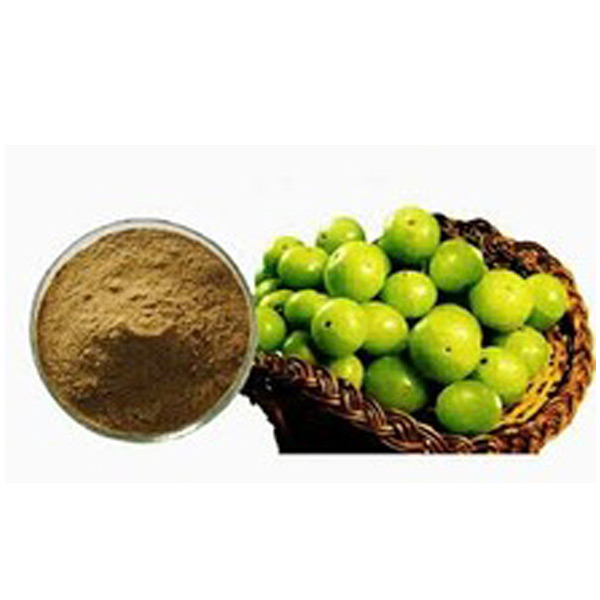 Amla Extract