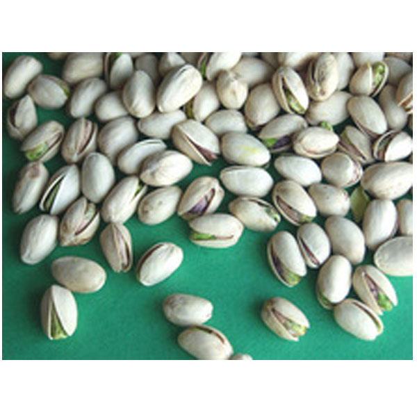Pistachio