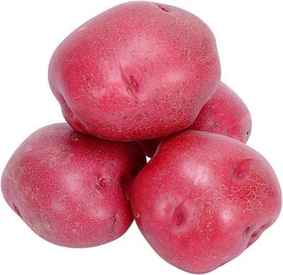 Fresh Red Skin Potato from Bangladesh