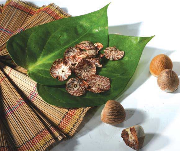 Betel Nut