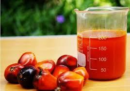 crude palm oil