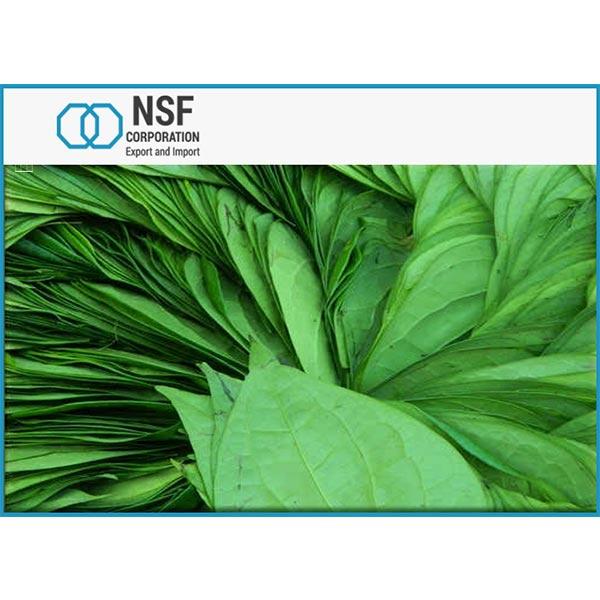  Green Betel Leaves