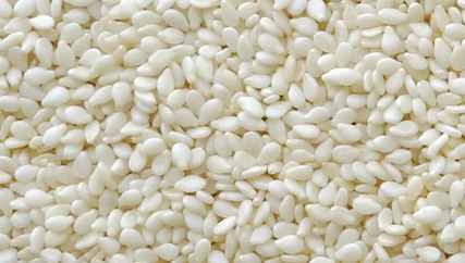 Hulled Pure White Sesame seeds sell