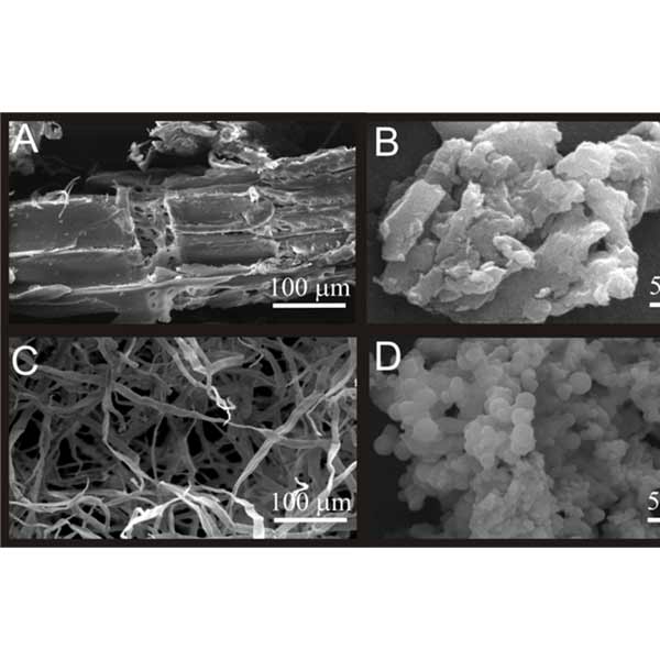 Kenaf Hydrocarbon Remover