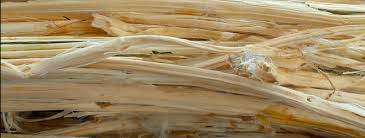 Kenaf Organic materials