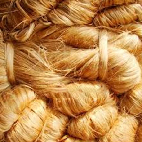 Kenaf Petroleum oil Remover