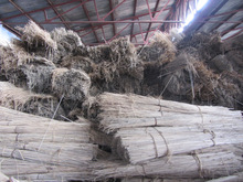 Kenaf Super Absorbent Materials-Oil