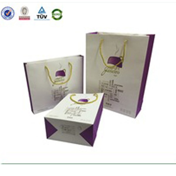 Shopping Paper Bag 02