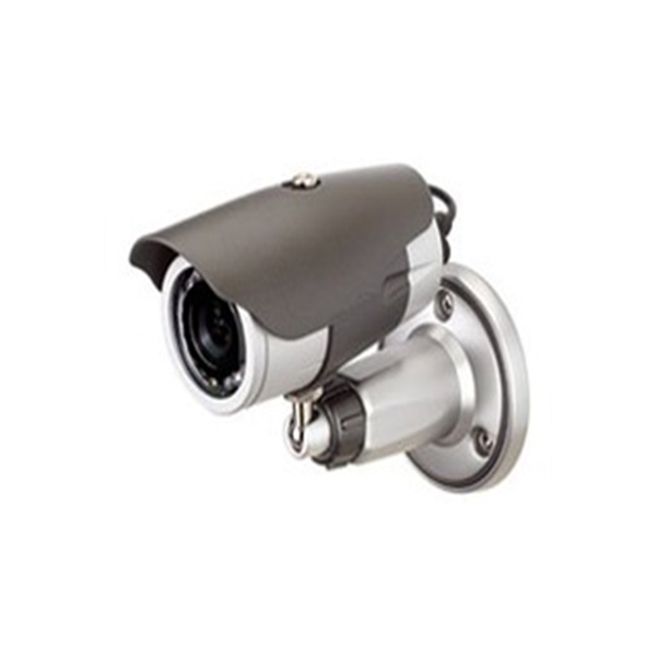 IP-Cameras