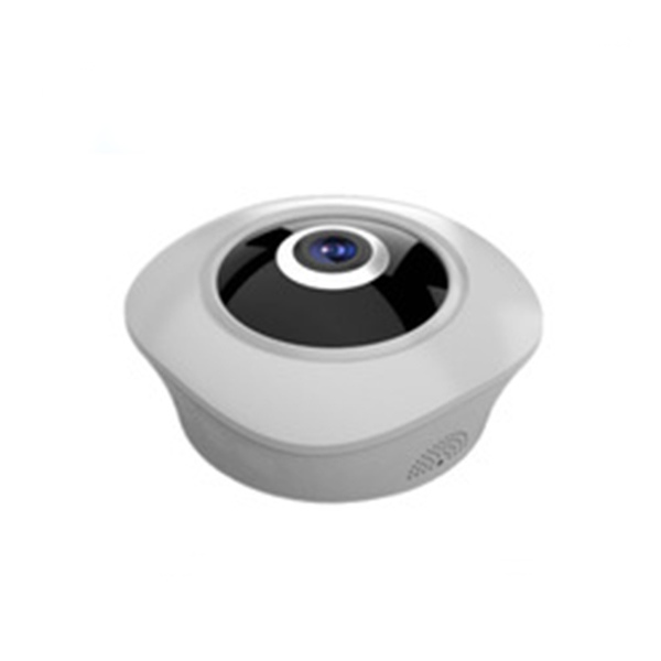 IP-camera
