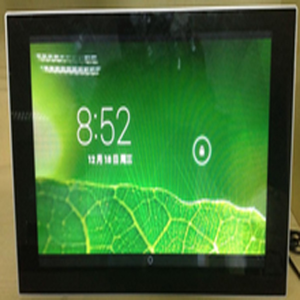 Wall-mount-LCD-indoor