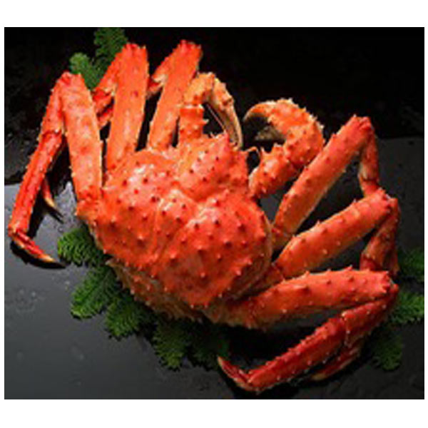 King Crab image