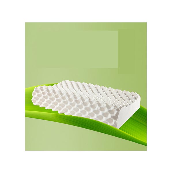 Latex Pillow