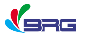 Shenzhen BRG Technology Co., Ltd.