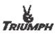 TRIUMPH CORPORATION