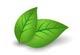 Sieg International LLC