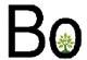 BO INTERNATIONAL