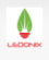 LEDON LIGHTING SOLUTIONS