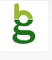   BGREEN INTERNATIONAL